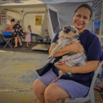 Prefeitura de Navegantes promove mutirão de castração de cães e gatos no Gravatá em julho