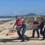 [VÍDEO] Corpo de homem é encontrado por equipe de limpeza urbana da Prefeitura na faixa de areia em Navegantes
